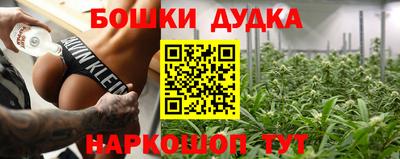 крисы Партизанск
