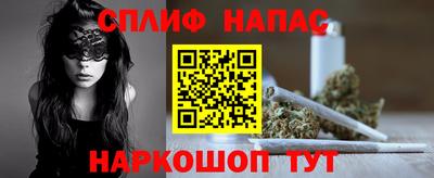СК Обь