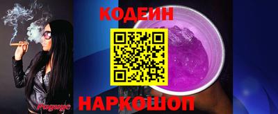 крисы Партизанск