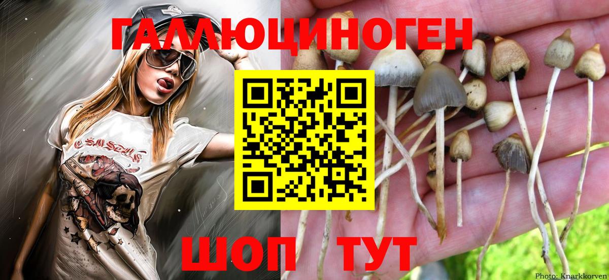 Псилоцибиновые грибы GOLDEN TEACHER  Вход с VPN  Саров 