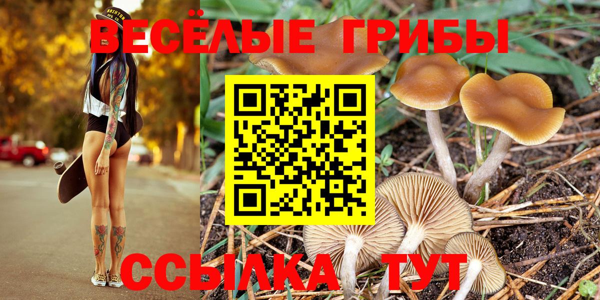 Галлюциногенные грибы прущие грибы Саров